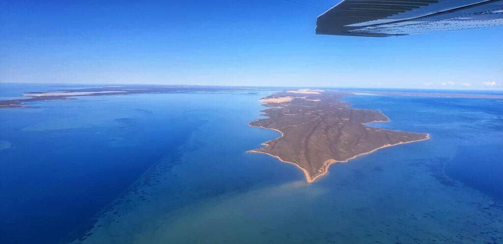 Bulawayo Buoy 6.1m vessel cruising South Passage – one of the top things to do in Shark Bay