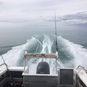 gone fishing with hire vessel shark bay