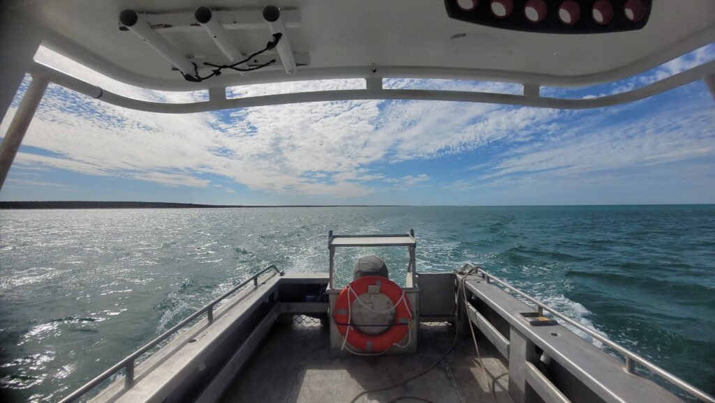 Shark Bay Boat Hire