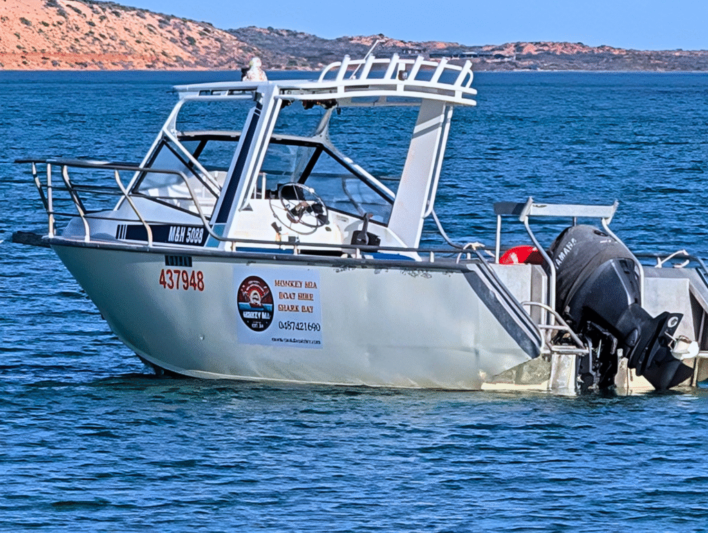 Bulawayo Buoy – 6m Marineline boat for hire in Shark Bay