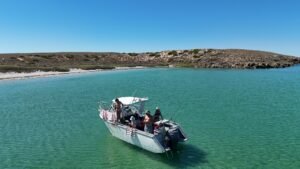 Monkey Mia Boat Hire Shark Bay