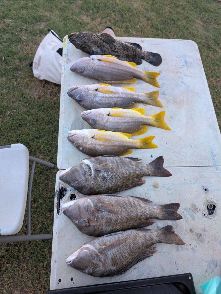 Shark Bay cultural tours