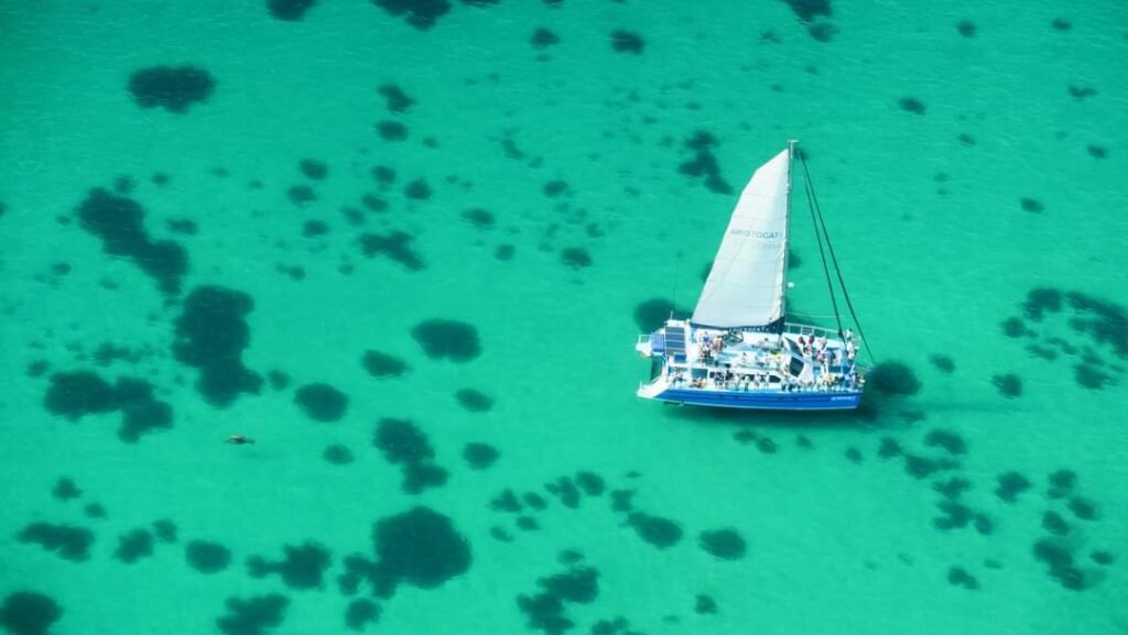 things to do in Shark Bay - Monkey Mia Boat Hire