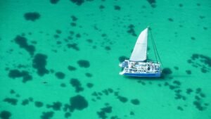 things to do in Shark Bay - Monkey Mia Boat Hire