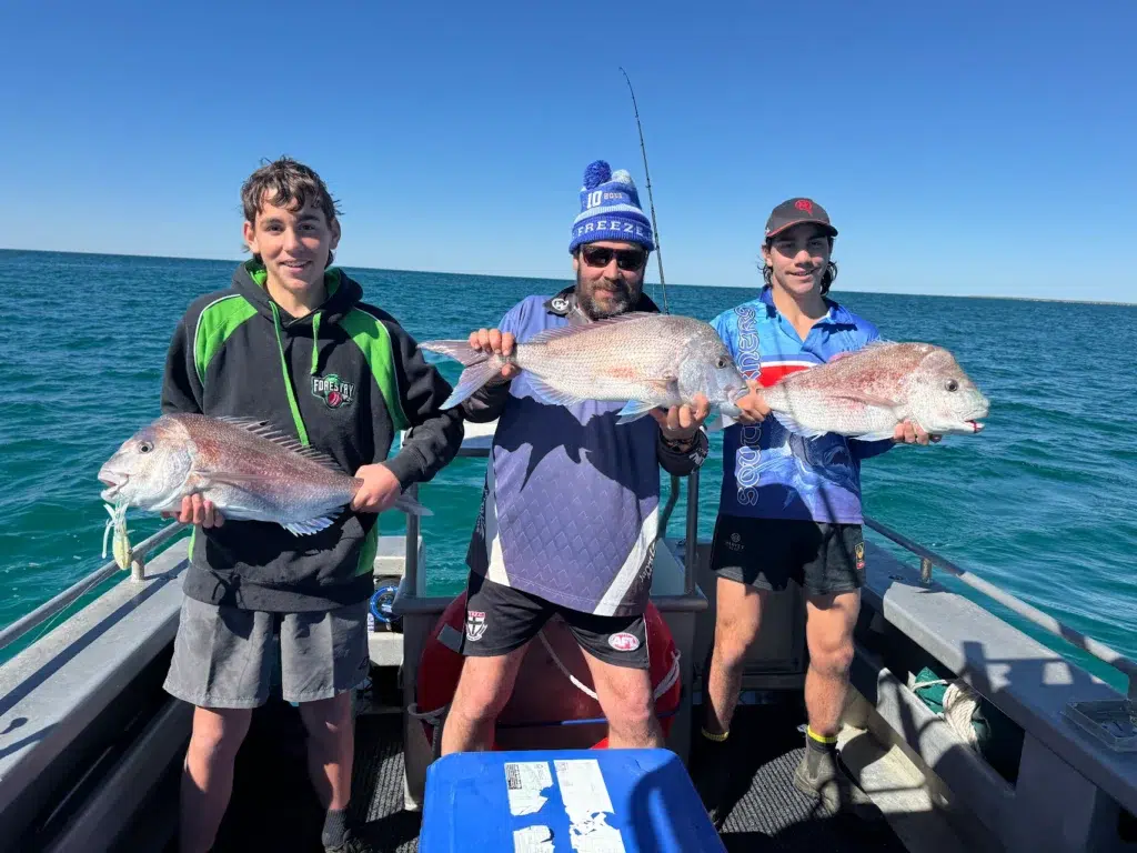 Three happy anglers showing off big pink snapper caught on a boat in Shark Bay, Western Australia